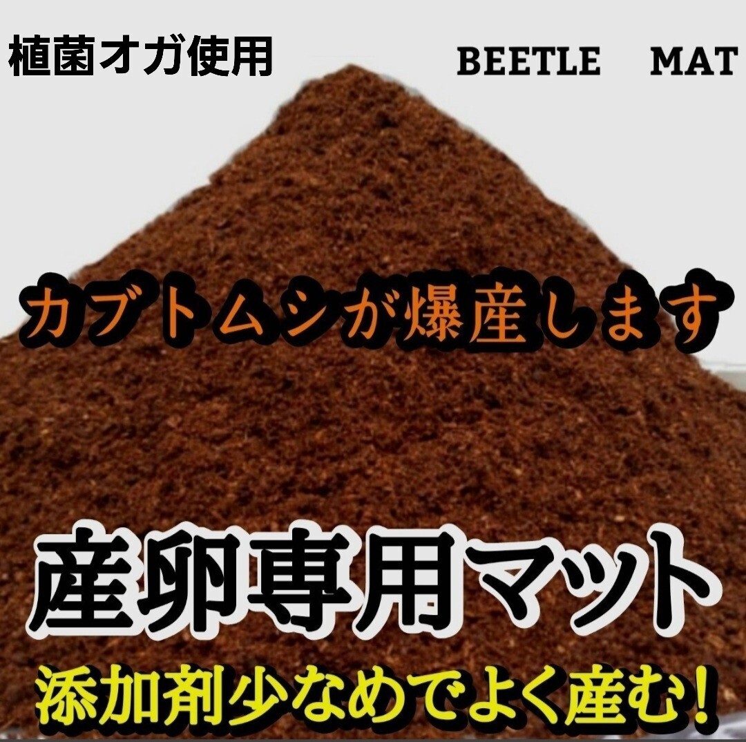 カブトムシの産卵専用 ビートルマット【5L】クヌギのオガを植菌で朽ちらせ室内で完熟発酵!添加剤少なめで産卵意欲が高まり多産へと導く拍卖