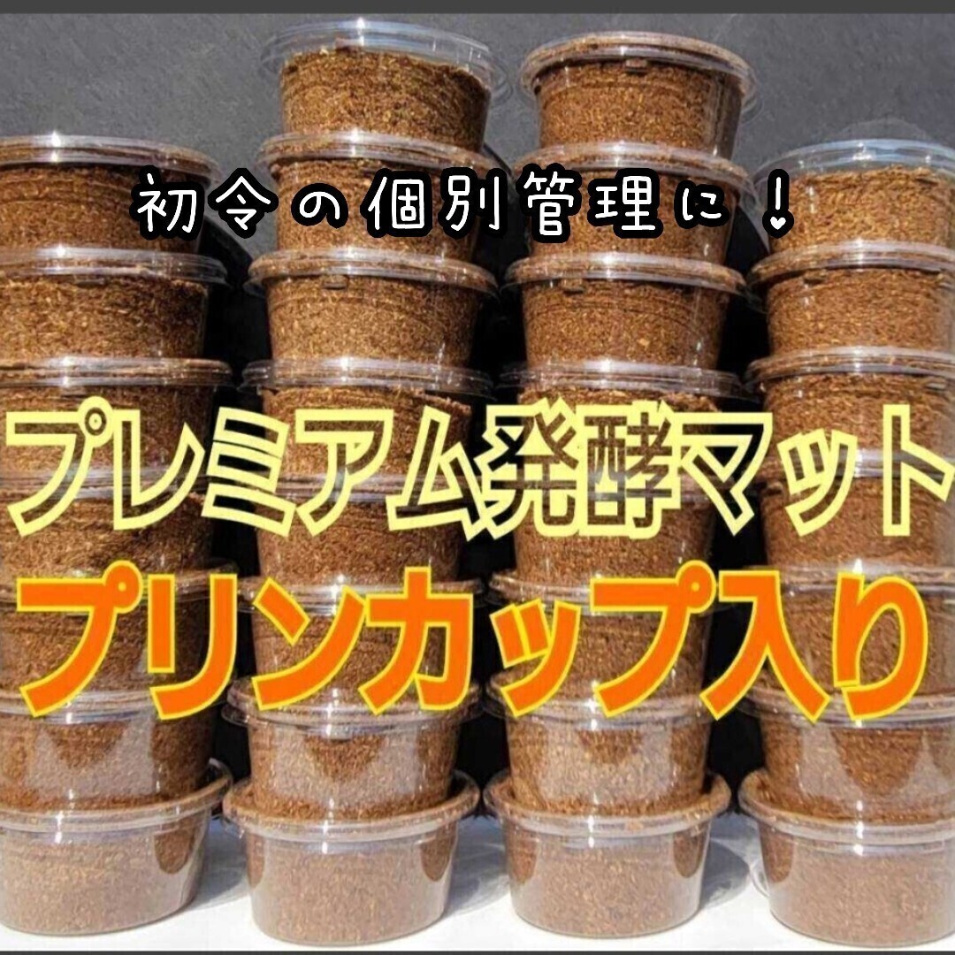 クワガタの幼虫を入れるだけ!割り出し直後の小分けに【40個】プリンカップ入りプレミアム3次発酵マット 初令が吸収しやすい栄養添加剤!拍卖