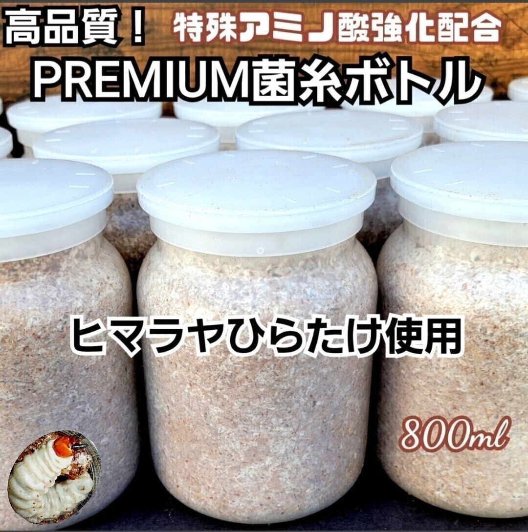 クワガタ幼虫を大きくするならコレ!ヒマラヤひらたけ 菌糸瓶 800ml トレハロース、ローヤルゼリー、酵母菌、ミネラル、キトサン強化拍卖
