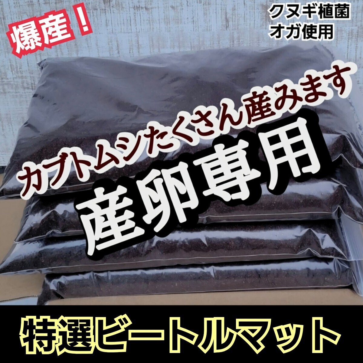 カブトムシの産卵専用 ビートルマット【30L】クヌギのオガを植菌で朽ちらせ室内で完熟発酵!添加剤少なめで産卵意欲が高まり多産へと導く拍卖
