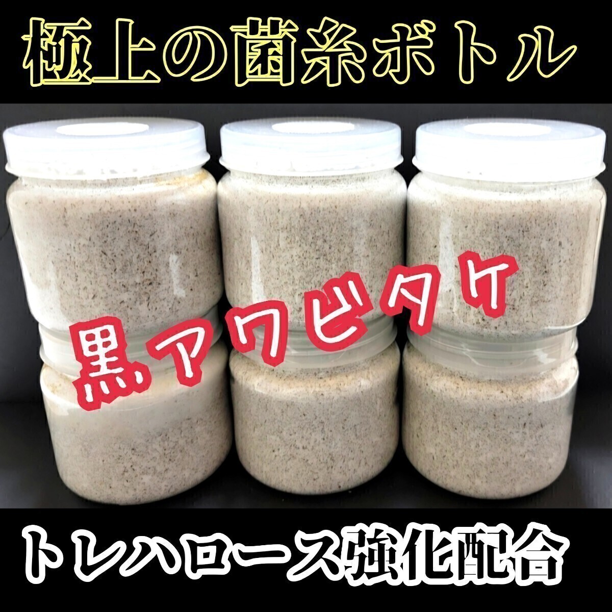 最強の菌糸瓶 貴重な黒アワビタケ 特殊アミノ酸強化配合 ニジイロクワガタにお薦め オオクワ、ヒラタ、ノコギリの初令・2令にも抜群拍卖
