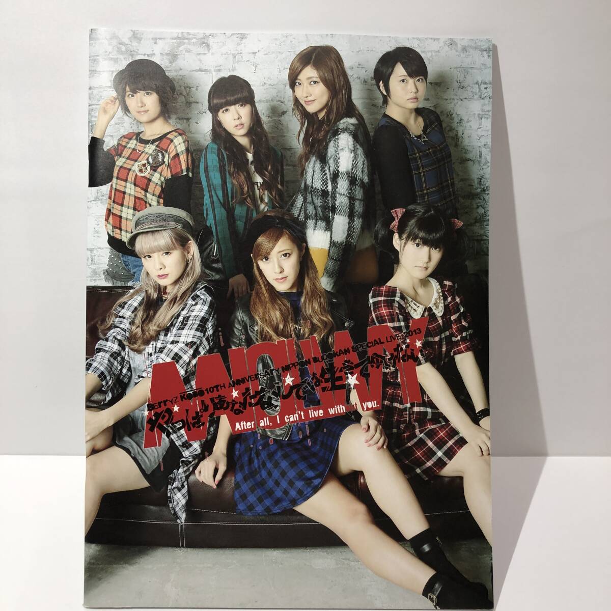 レア品★Berryz工房 10周年記念 日本武道館スッぺシャルライブ2013~やっぱりあなたなしでは生きてゆけない~ パンフレット拍卖