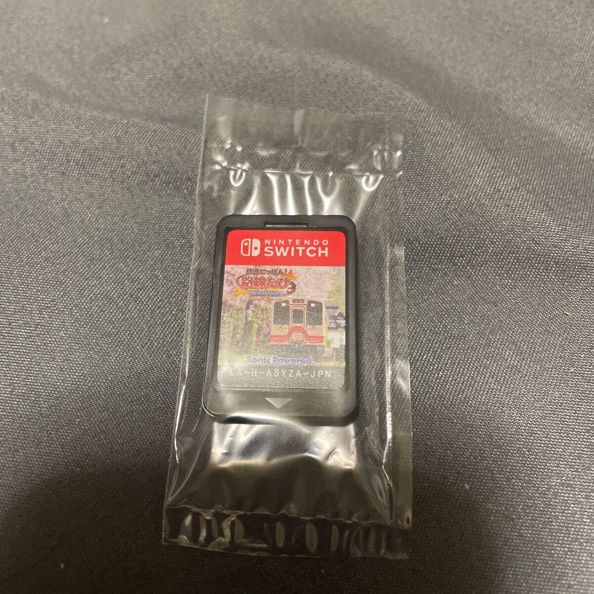 switch 鉄道にっぽん! 路線たび 明知鉄道編 ソフトのみ 中古拍卖