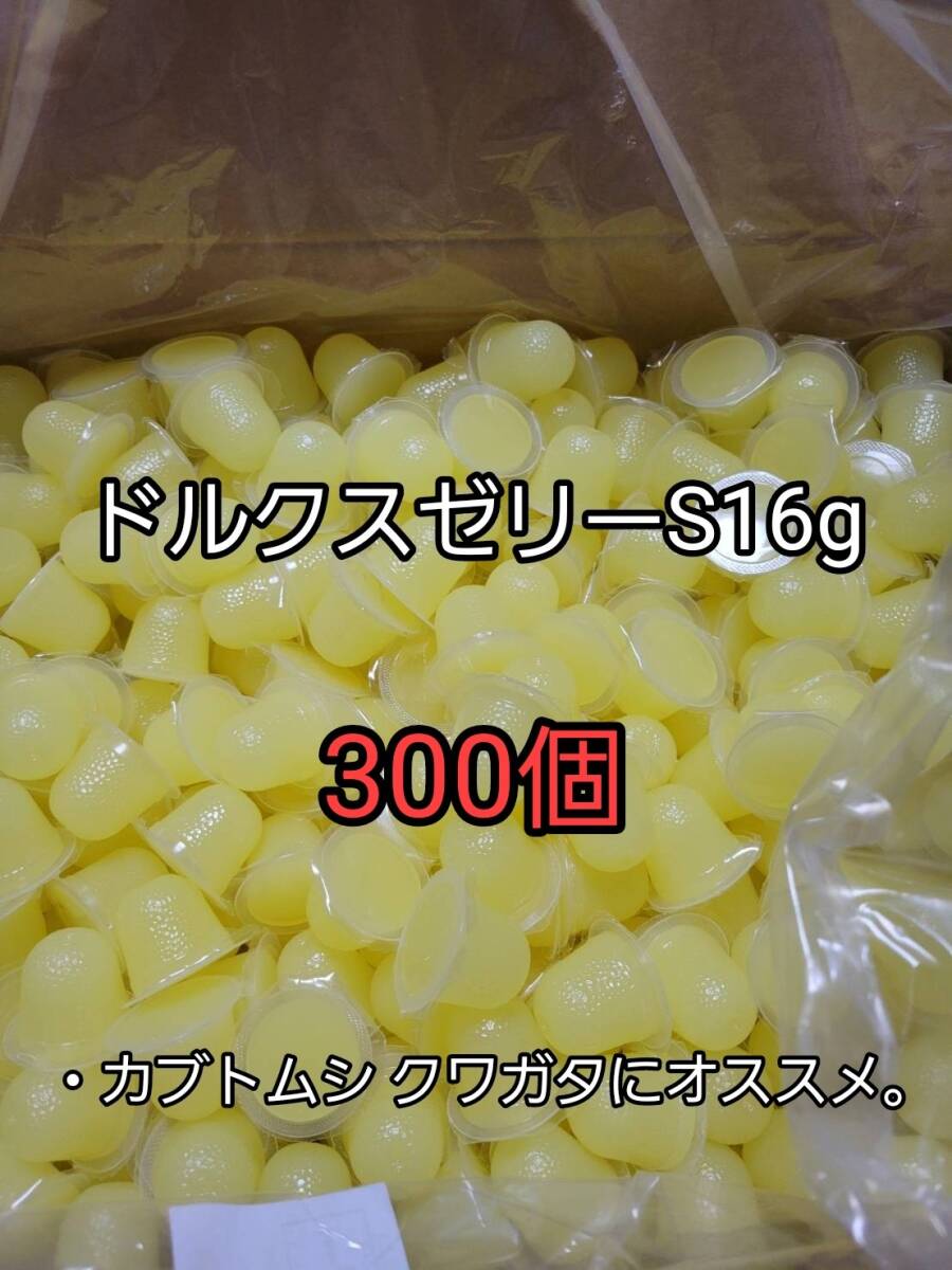 ドルクスゼリーS16g 300個 フジコン 昆虫ゼリー オオクワ カブトムシ 小動物 高タンパク 高カロリー拍卖