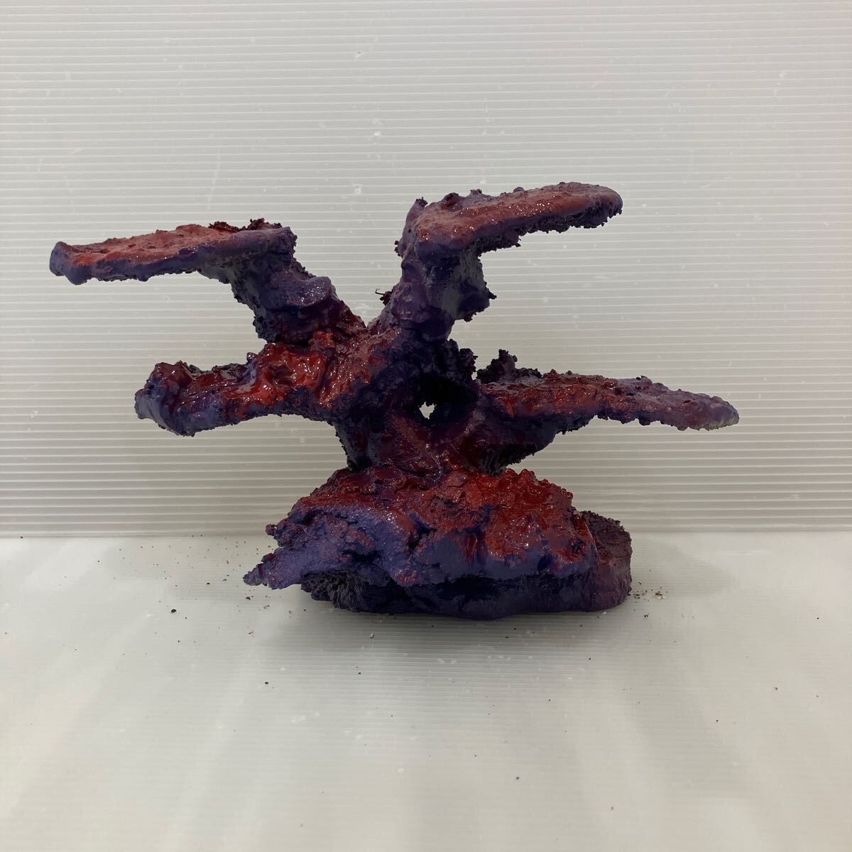 【現物】ライブロック No.3107(海水魚、サンゴ、バクテリア、背景、レイアウト、水槽)拍卖