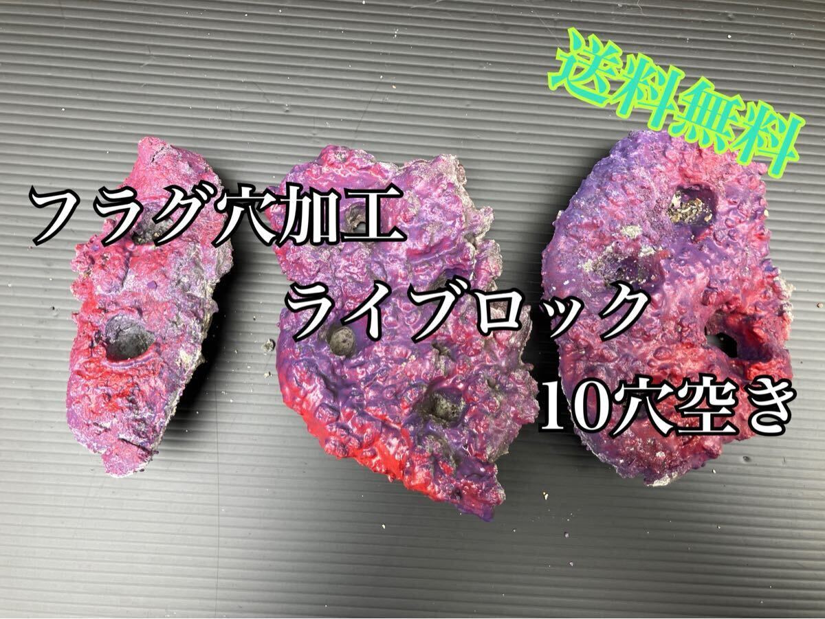 フラグ穴加工ライブロック 10穴空き-No.58(海水魚、サンゴ、バクテリア、背景、レイアウト、水槽)拍卖