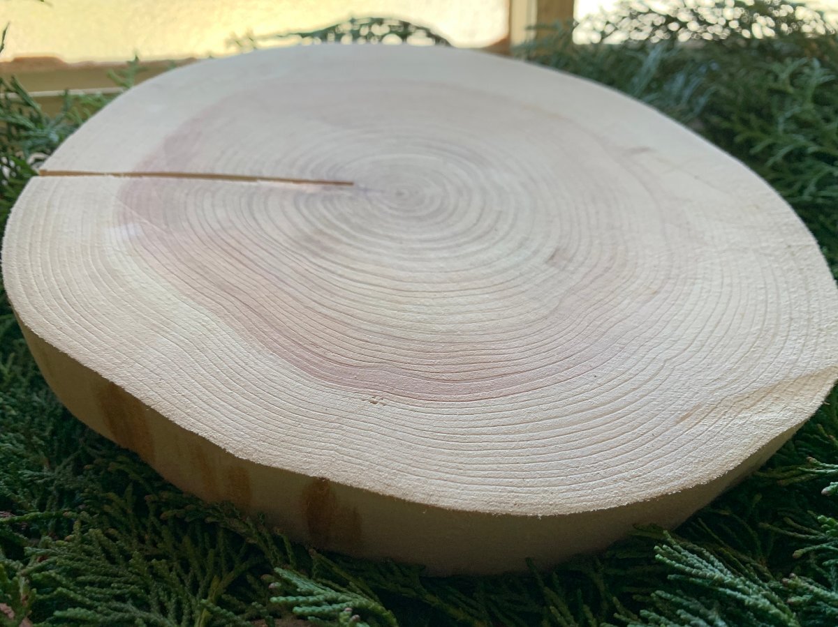 丹波ヒノキ 皮剥ぎ 直径20~23cm 厚さ約2.5cm 1枚拍卖