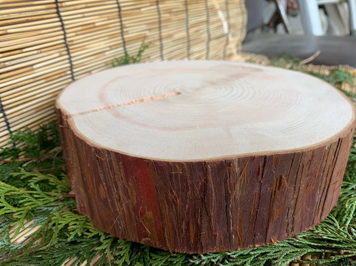 丹波ヒノキ 皮付き 直径17~20cm 厚さ約6cm 1枚拍卖