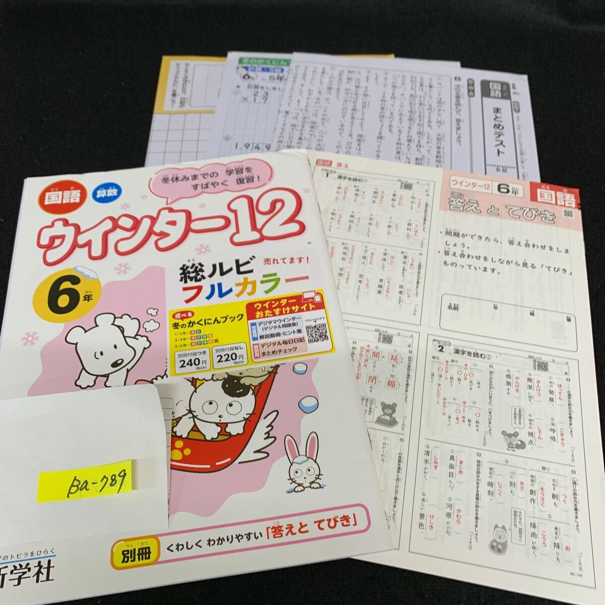 Ba-789/6年生/新学社/小学生 国語 算数 英語 社会 理科 漢字 家庭科 テキスト テスト用紙 教材 文章問題 計算/L7/706006拍卖