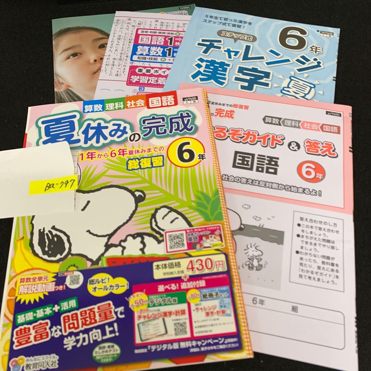 Ba-797/6年生/教育同人社/小学生 国語 算数 英語 社会 理科 漢字 家庭科 テキスト テスト用紙 教材 文章問題 計算/L7/706006拍卖
