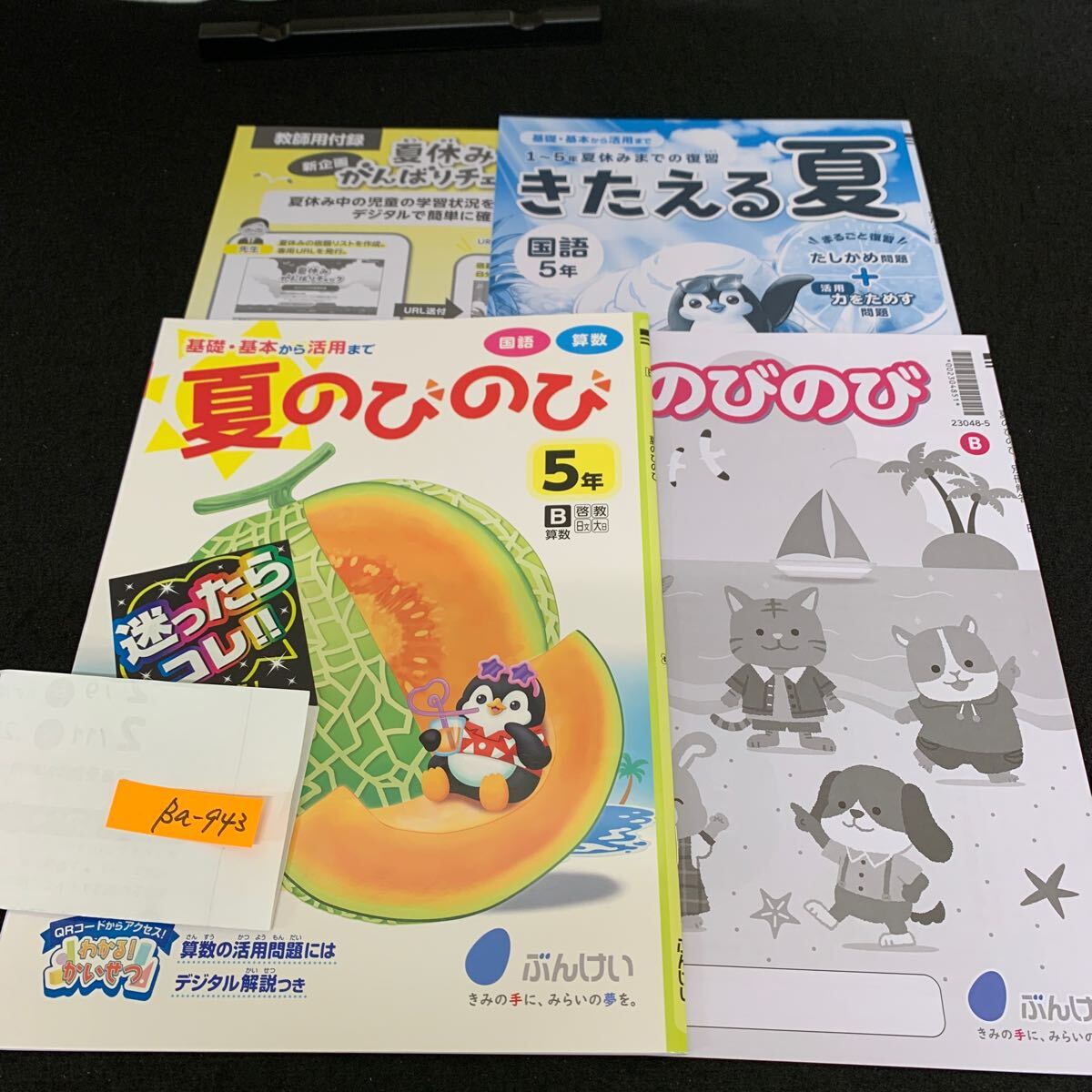 Ba-943/5年生/文渓堂/小学生 国語 算数 英語 社会 理科 漢字 家庭科 テキスト テスト用紙 教材 文章問題 計算/L7/7060010拍卖