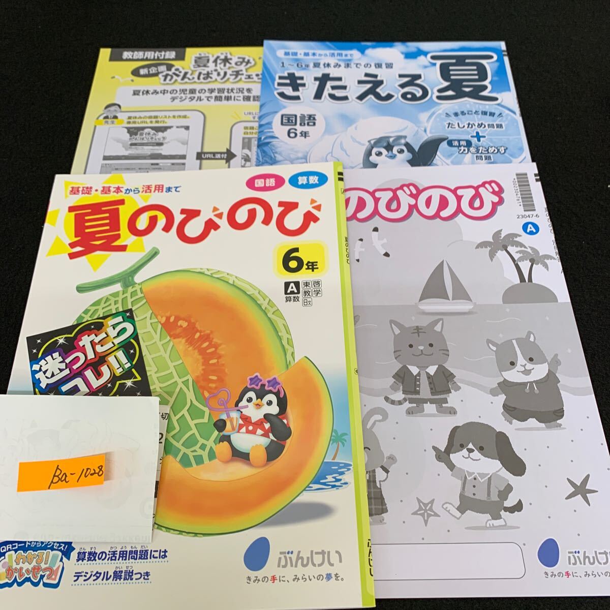 Ba-1028/6年生/文渓堂/小学生 国語 算数 英語 社会 理科 漢字 家庭科 テキスト テスト用紙 教材 文章問題 計算/L7/7060011拍卖