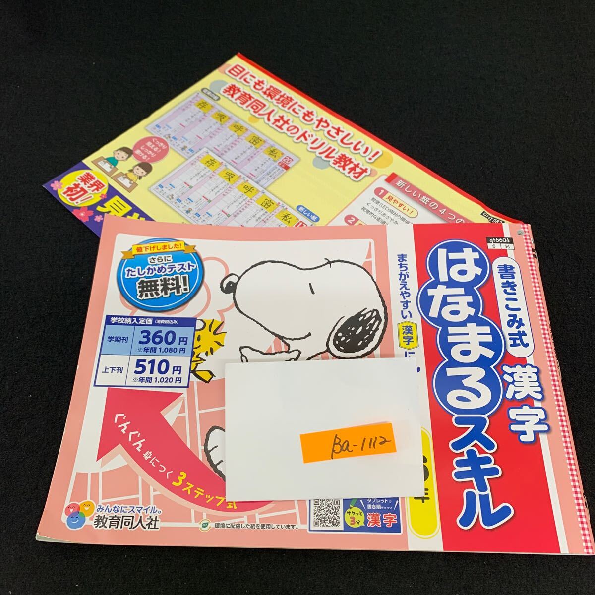 Ba-1112/6年生/教育同人社/小学生 国語 算数 英語 社会 理科 漢字 家庭科 テキスト テスト用紙 教材 文章問題 計算/L7/7060012拍卖