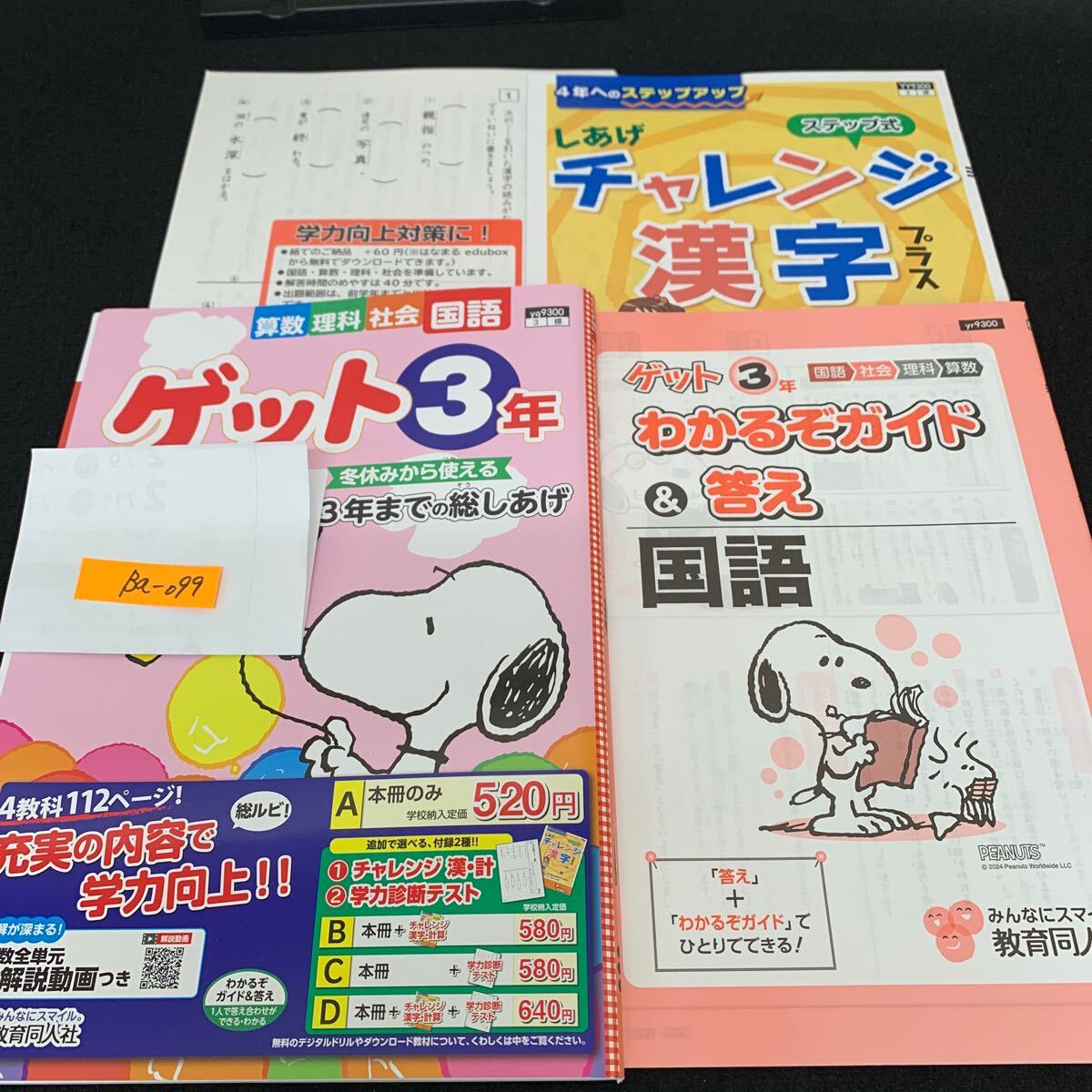 Bb-099/3年生/教育同人社/小学生 国語 算数 英語 社会 理科 漢字 家庭科 テキスト テスト用紙 教材 文章問題 計算/L11/7060013拍卖