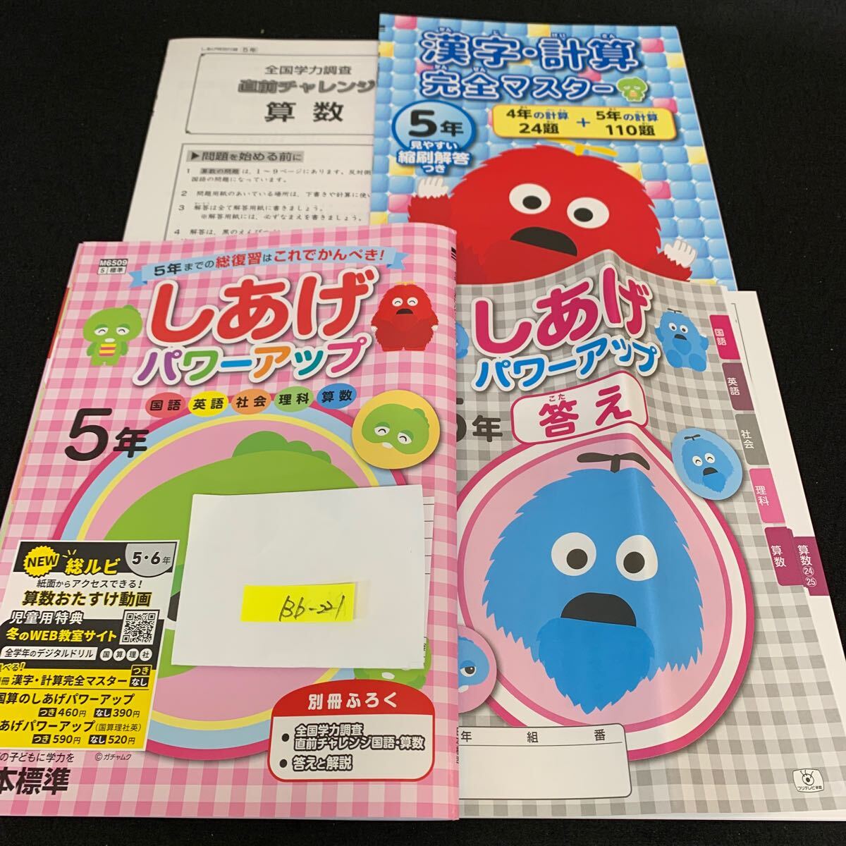 Bb-221/5年生/日本標準/小学生 国語 算数 英語 社会 理科 漢字 家庭科 テキスト テスト用紙 教材 文章問題 計算/L11/7060017拍卖
