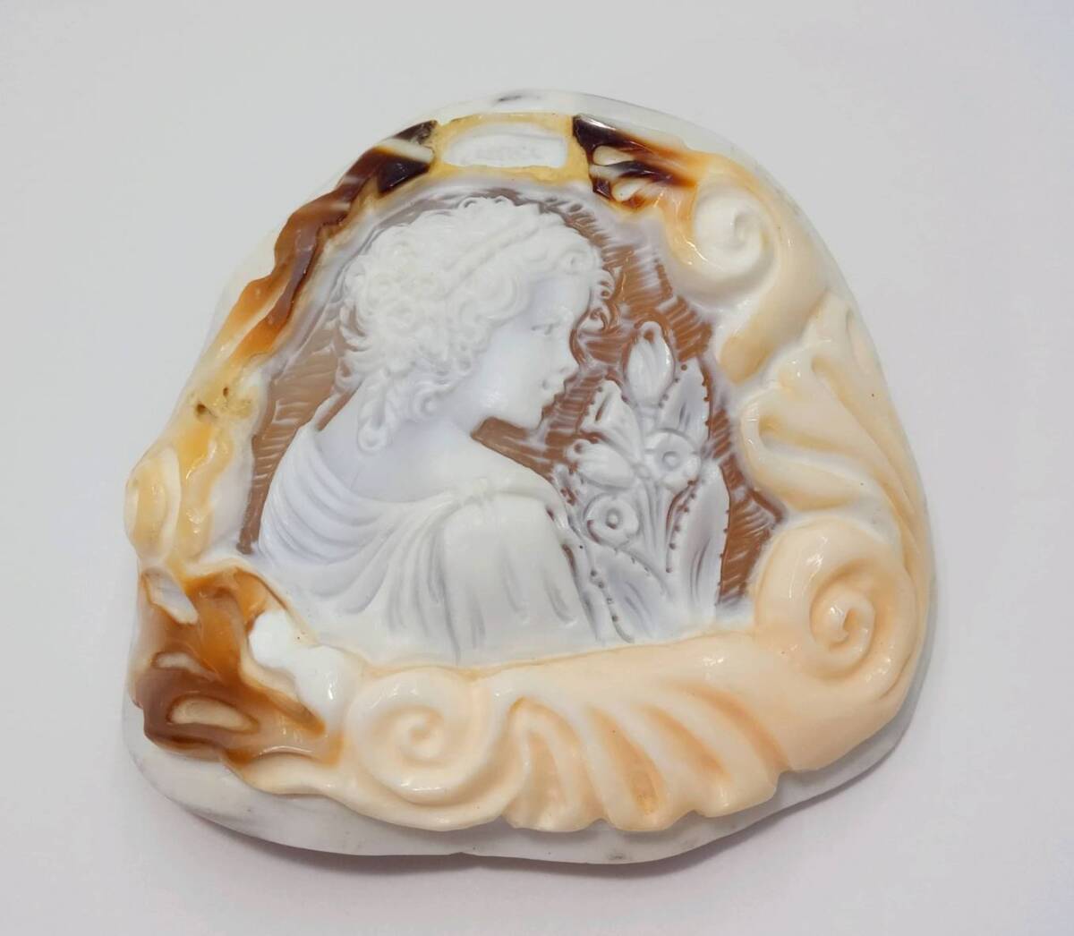 大型 シェルカメオ 42.4g 縦 70mm × 横 74mm拍卖