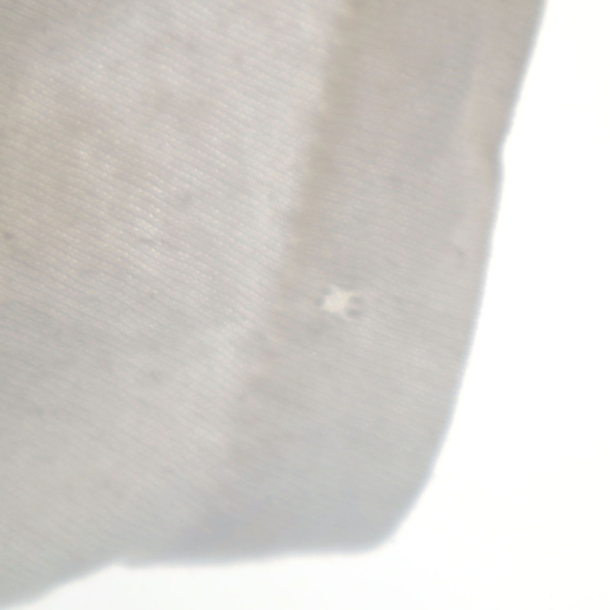 SCREEN STARS BEST スクリーンスターズベスト 90s USA製 オールド ベア プリント 半袖 Tシャツ L オフホワイト レディース拍卖