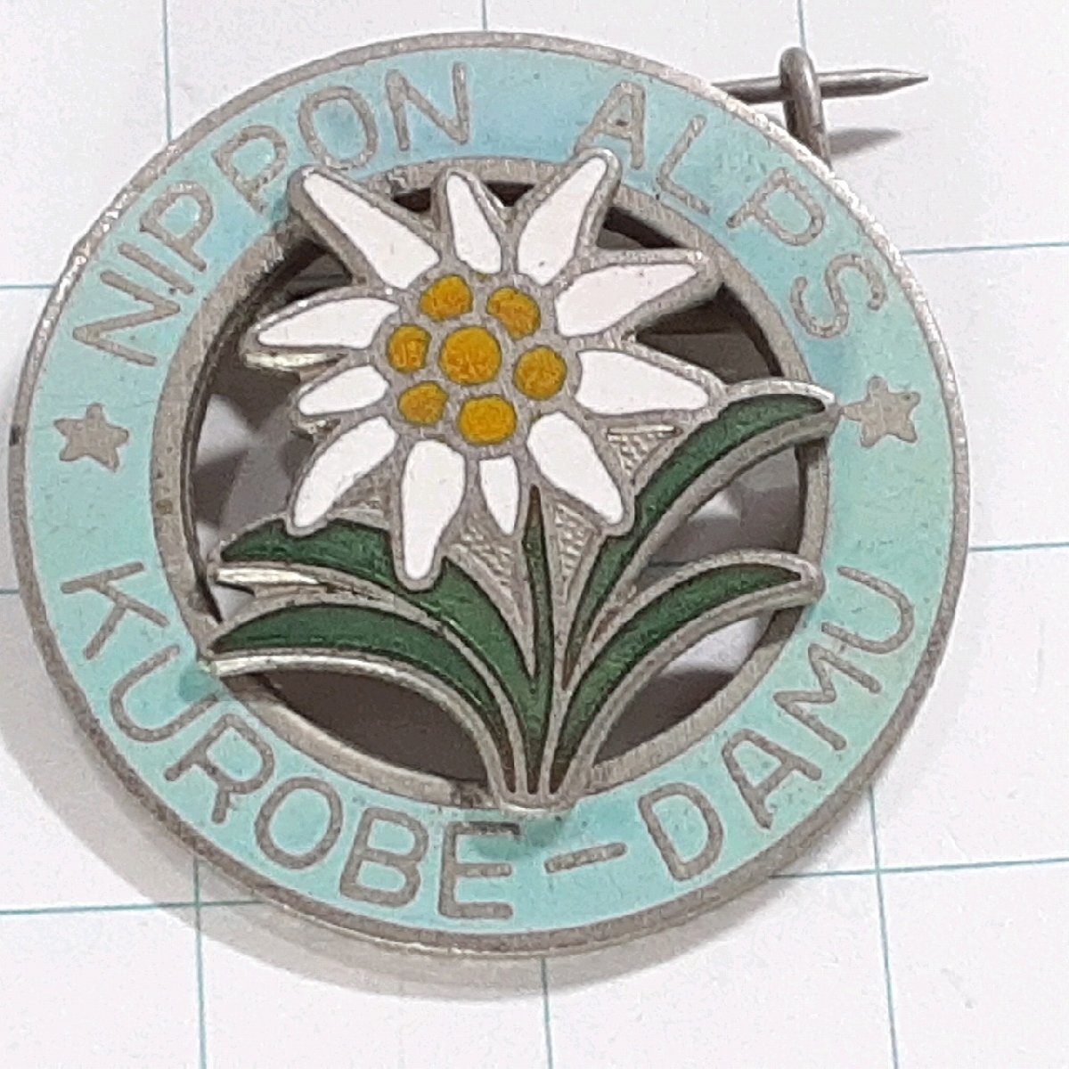 送料無料)黒部ダム 観光 旅行 登山 記念 山バッジ ピンバッジ PINS ピンズ A29991拍卖