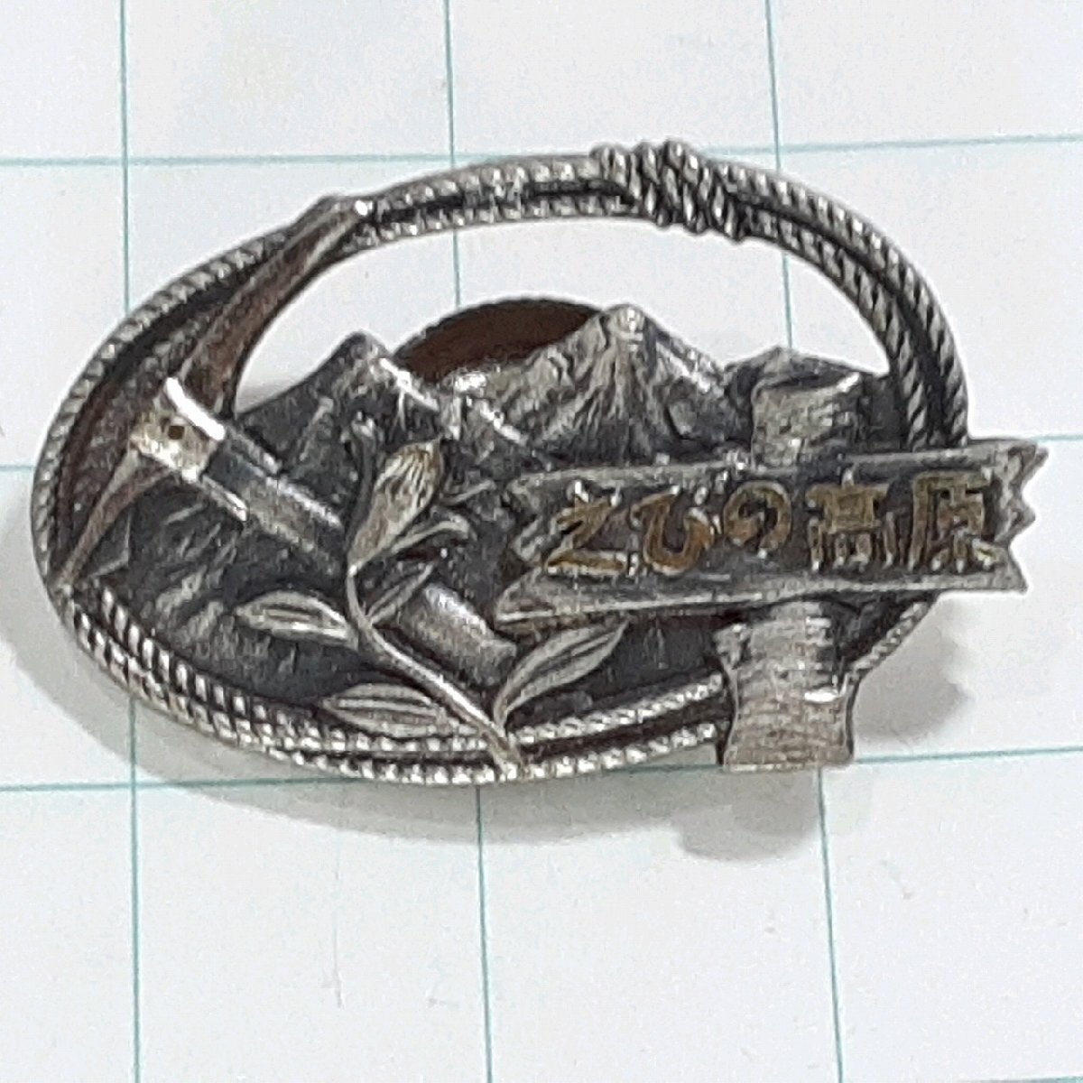 送料無料)えびの高原 観光 旅行 登山 記念 山バッジ ピンバッジ PINS ピンズ A29993拍卖