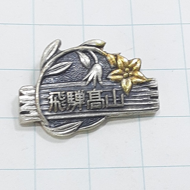 送料無料)飛騨高山 観光 旅行 登山 記念 山バッジ ピンバッジ PINS ピンズ A28821拍卖