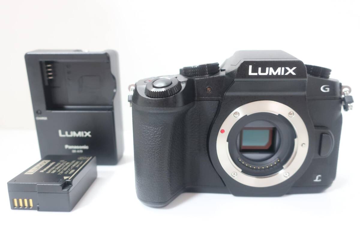 Panasonic パナソニック DMC-G8 充電器付 #3061拍卖