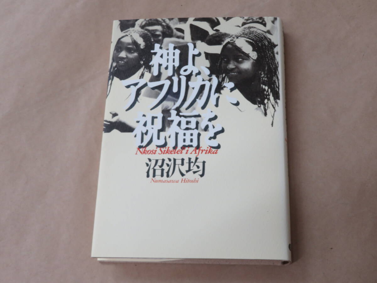神よ、アフリカに祝福を / 沼沢 均 1995年拍卖