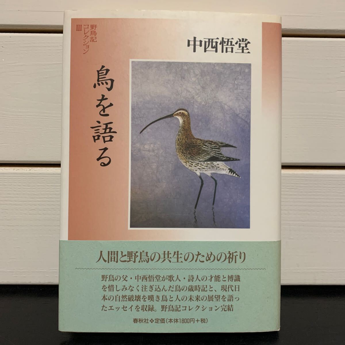 鳥を語る (野鳥記コレクション 3) 中西悟堂/著拍卖