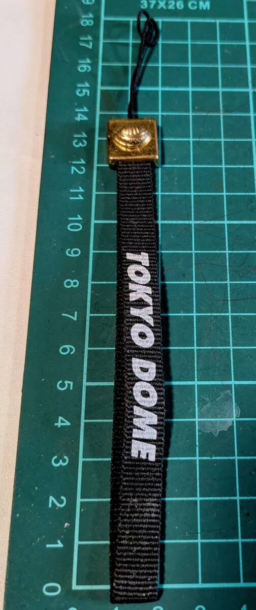 古~い 東京ドーム ガラ携 ストラップ 未使用品拍卖