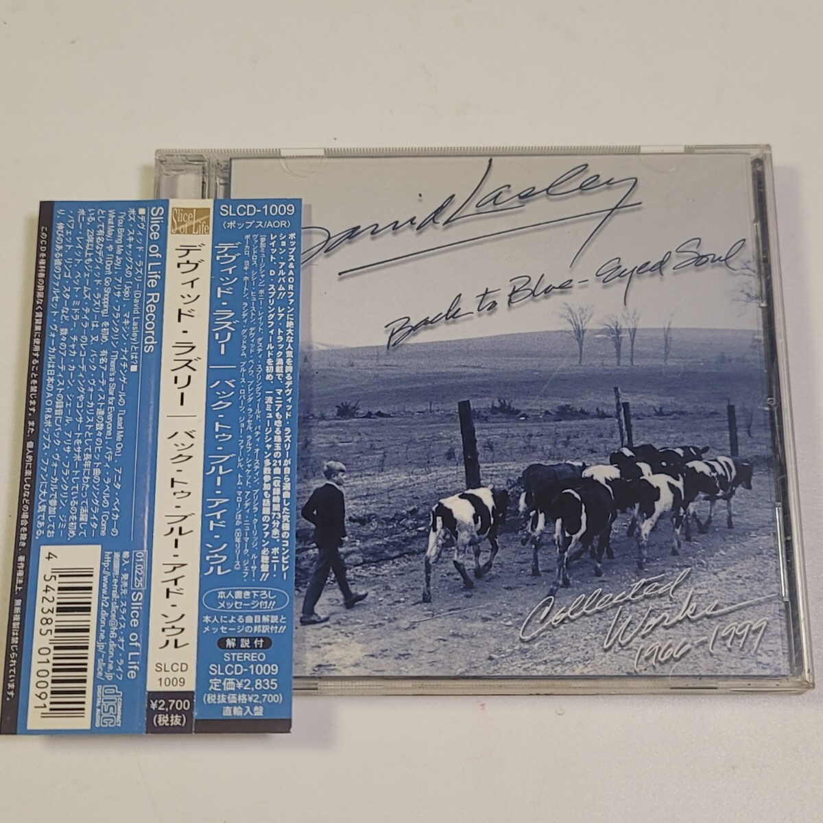 《稀少盤》CD 直輸入盤 AOR - DAVID LASLEY / デヴィッド・ラズリー「Back To Blue-Eyed Soul」帯・解説書付き / SLCD-1009拍卖