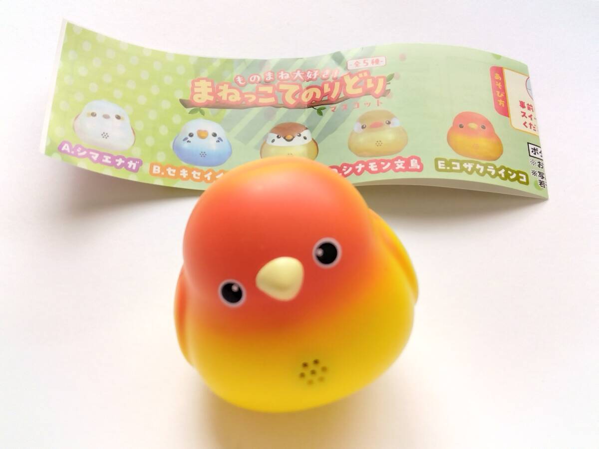 まねっこてのりどり★コザクラインコ★ものまね大好き ガチャ カプセルトイ★マスコット フィギュア拍卖