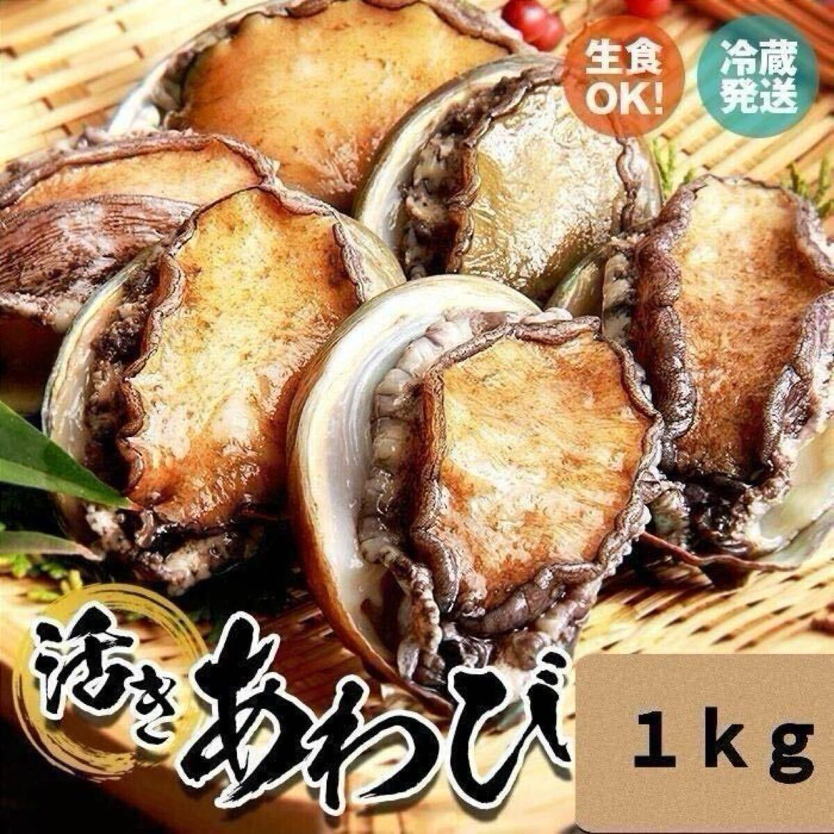 活き 蝦夷 あわび 20/30 1kg 本州送料無料拍卖