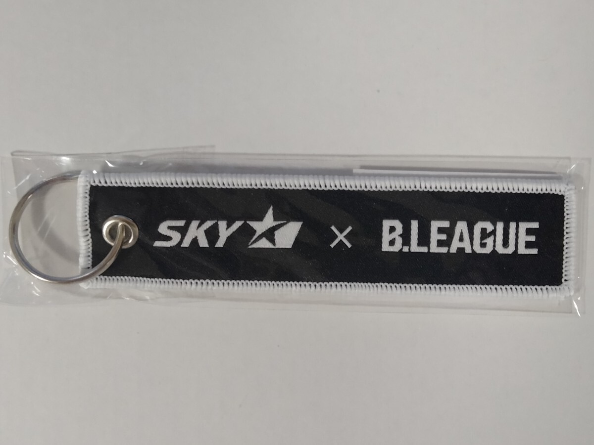 スカイマーク×B.LEAGUE◆フライトタグ(キーホルダー)Bリーグ◆Skymark拍卖