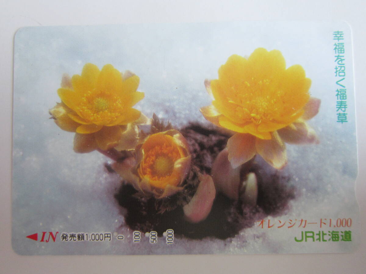 JR北海道オレンジカード使用済み 幸福絵を招く福寿草拍卖