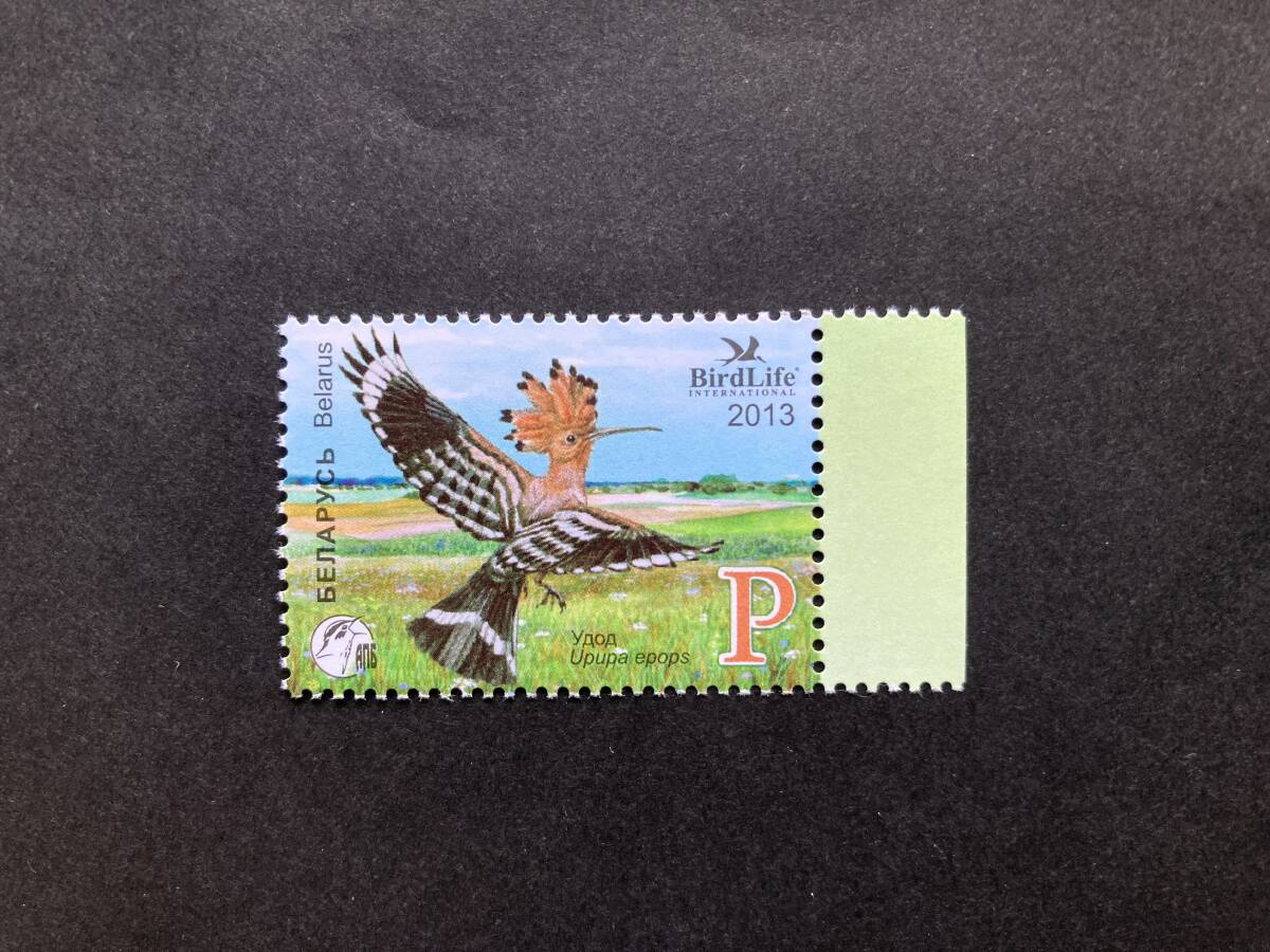 外国切手: ベラルーシ切手 「(今年の鳥)ヤツガシラ」1種完 未使用拍卖