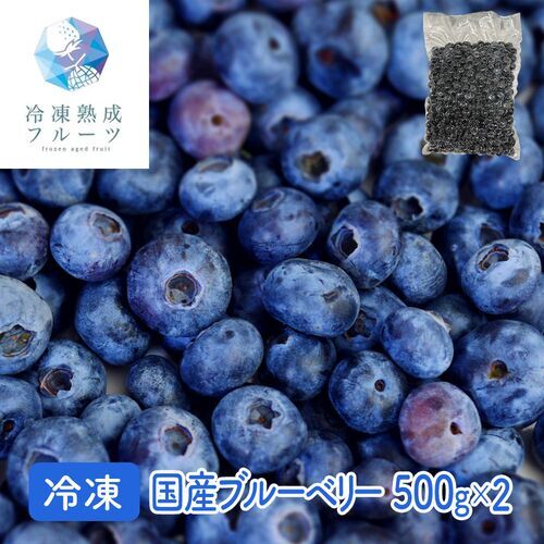 飲食店におすすめ! / 国産ブルーベリー 500g×2パック / 国産フルーツ 国産果物 冷凍フルーツ 冷凍果物 業務用フルーツ 業務用果物拍卖