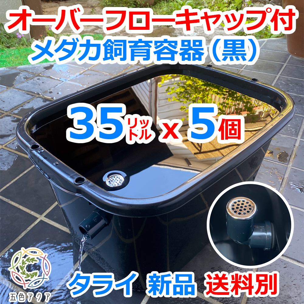 【新仕様】メダカ飼育容器 35㍑黒x5個 オーバーフロー加工済 送料別 メダカ飼育ケース 産卵 金魚 ビオトープ 水槽 睡蓮 【五色アクア】拍卖