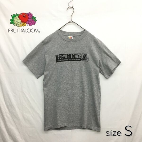 HZ9102★FRUIT OF THE LOOM :90's~00's DEVILS TOWER プリントTシャツ★S★グレー ヴィンテージTシャツ拍卖