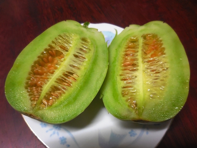 403.6.2◆かんたん栽培 網干メロン 20粒 果物 あぼしマクワウリ◆エスディージーズ 無農薬 無化学肥料 自然菜園 野菜 種苗 ネット通販 販売拍卖