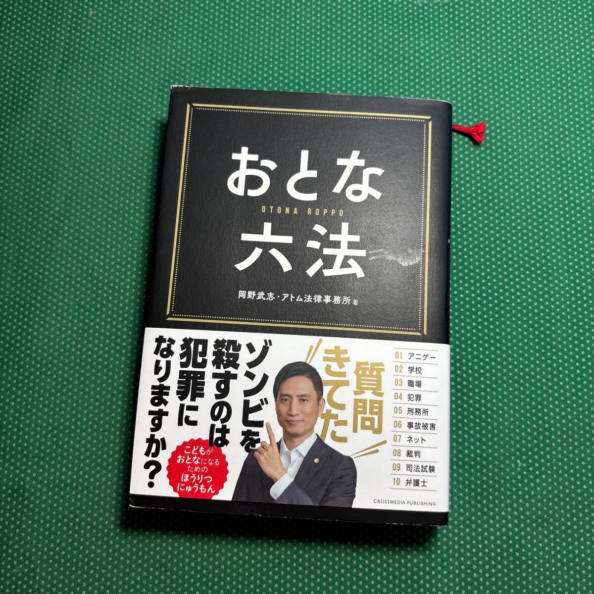 おとな六法 岡野武志/著 アトム法律事務所/著/中古本拍卖