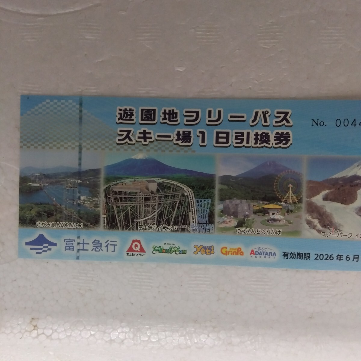 富士急の株主優待券 電車・バス・観光施設共通優待券10枚とフリーパス(1枚)拍卖