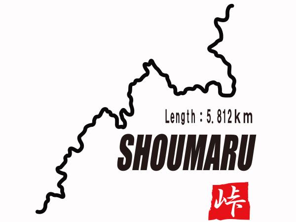 正丸峠 頭文字D 埼玉 ステッカー デカール 91拍卖