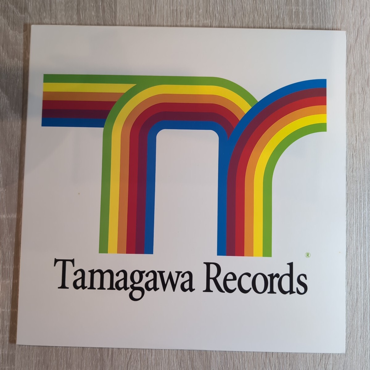 ホフディラン 「多摩川レコード」LPレコード 1996年★★hoff dylan tamagawa records拍卖