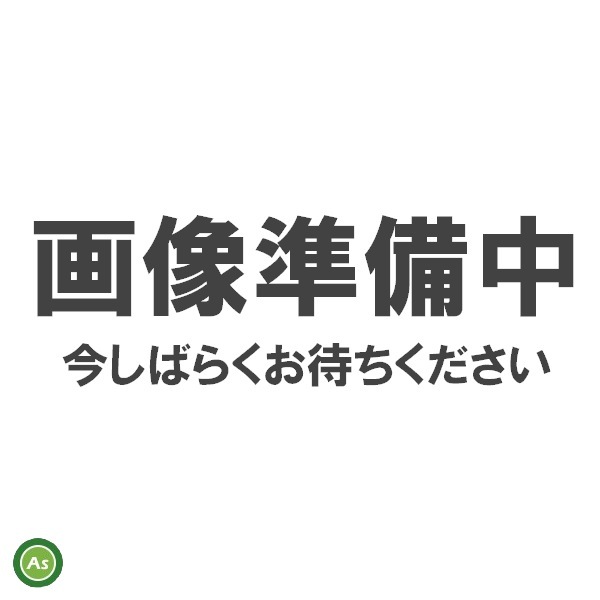 クボタ カントリーブロックマスターミニSP GB BOY サイドロータリー用 アタッチメント 98658-64790 小川農具製作所-拍卖