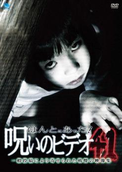 ほんとにあった!呪いのビデオ 41 レンタル落ち 中古 DVD拍卖