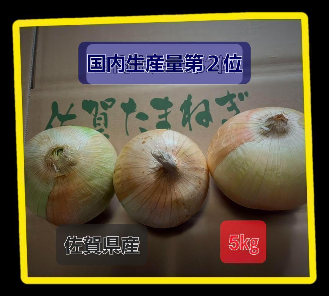 佐賀県産玉葱5kg 新玉ねぎ4拍卖
