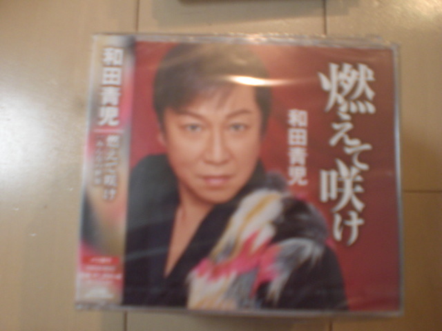 即決 和田青児「燃えて咲け」 送料2枚までゆうメール180円 新品 未開封 演歌CD拍卖