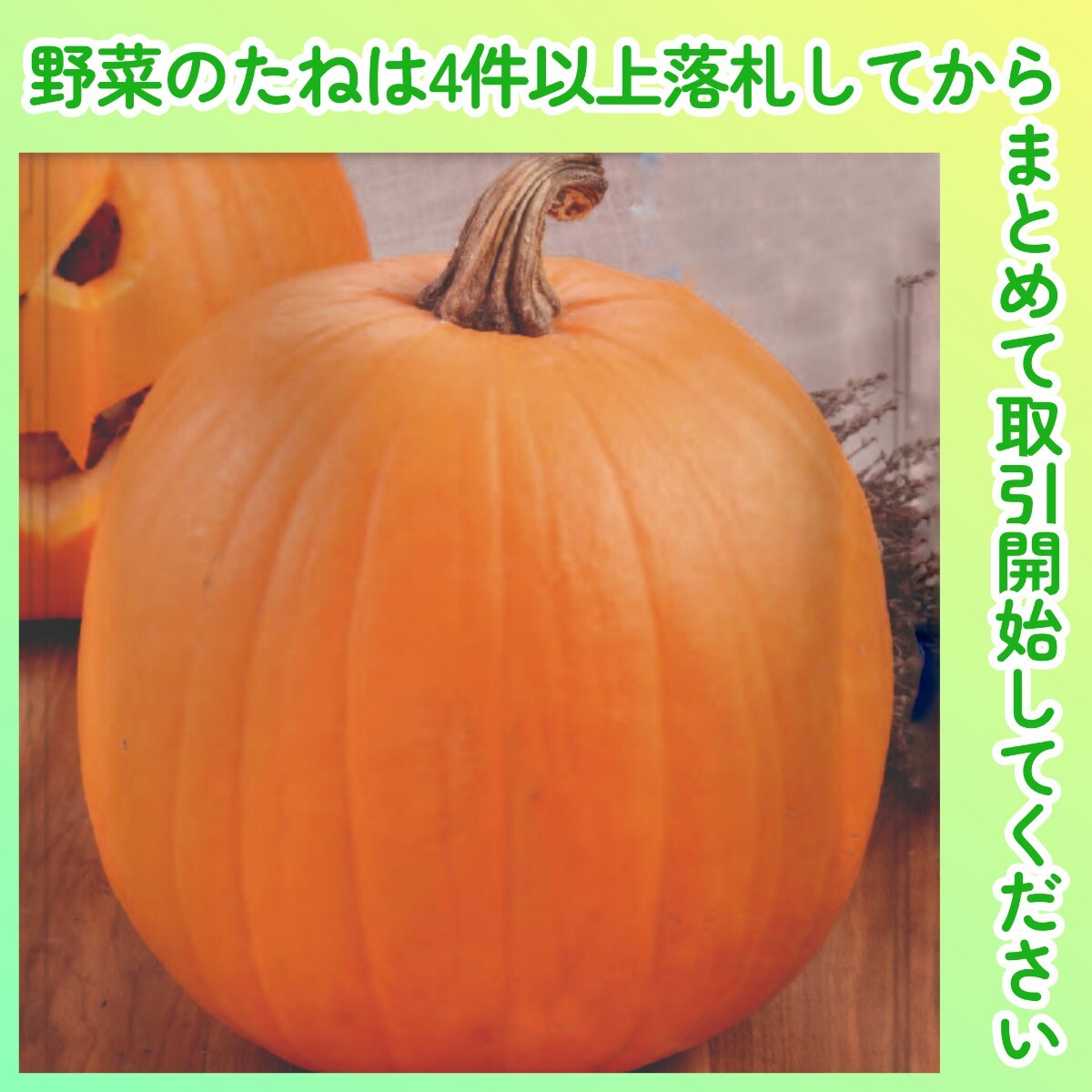 4件以上落札◆カボチャ種◆ハロウィーン 3粒◆固定種かぼちゃ 食用にも観賞用にも ジャック・オ・ランタン カービング ハロウィン南瓜拍卖