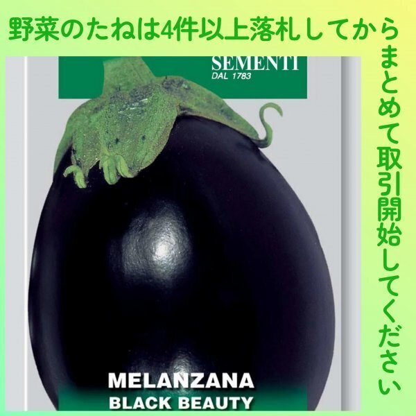 4件以上落札◆ナス種◆イタリアナス・ブラックビューティー 13粒◆固定種イタリアンナス 米ナスの先祖 丸なす 丸茄子 丸ナス拍卖