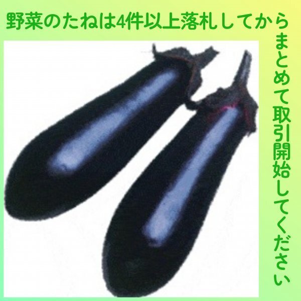 4件以上落札◆ナス種◆早生真黒茄子 10粒◆固定種なす 早生真黒ナス拍卖