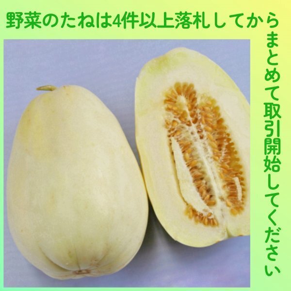 4件以上落札◆マクワウリ種◆白梨まくわ 5粒◆固定種まくわうり マクワ まくわ 甜瓜 真桑瓜 梨瓜 白皮マクワ 白マクワ拍卖